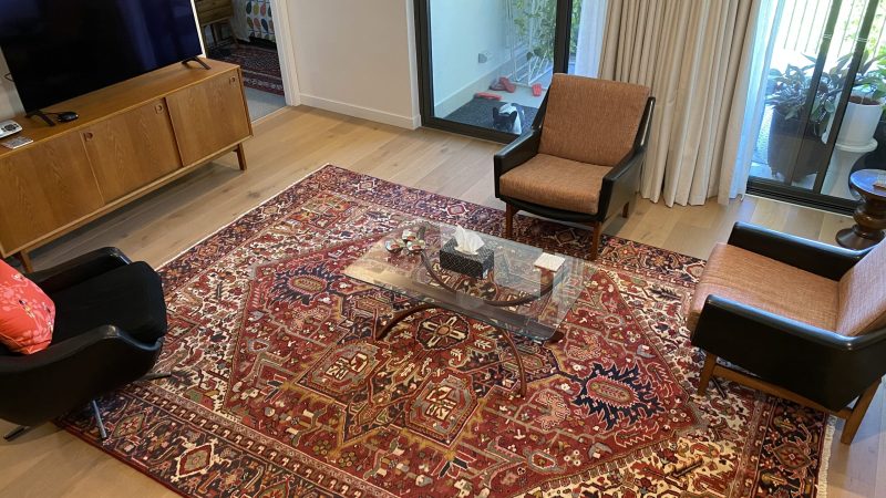 Close-up of a handmade Persian rug with intricate floral design and vibrant colors" "Antique Persian rug with ornate geometric patterns and rich, earthy tones