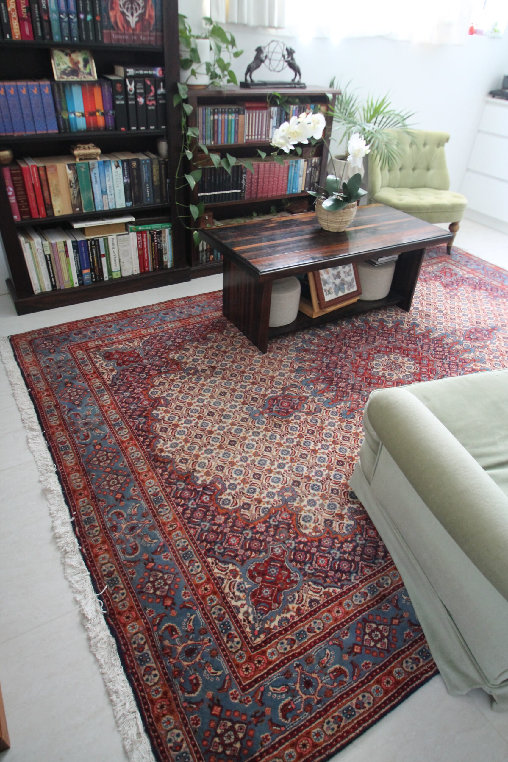 Expert Tips to Identify Authentic Persian Rugs with Confidence