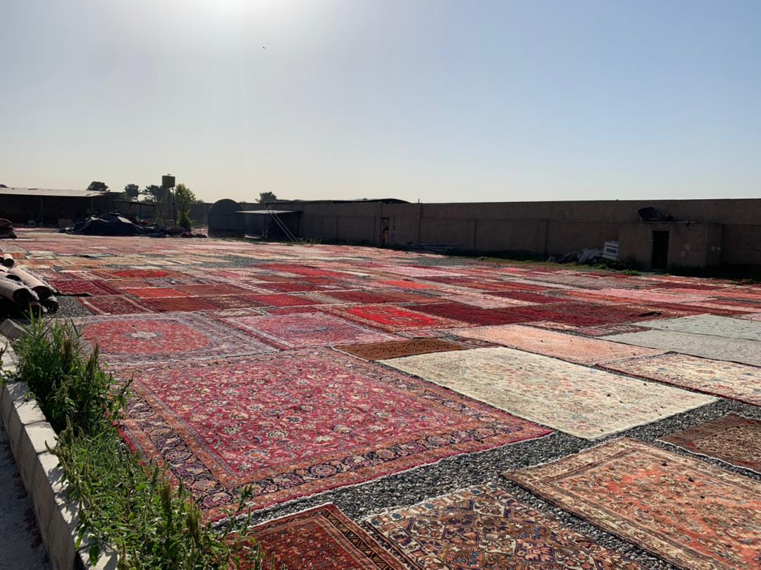 rug to direct sunlight