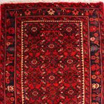 6.2M Hamedan Persian Runner (Hosseinabad)