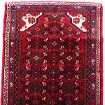 6.8M Hamedan Persian Runner (Hosseinabad)