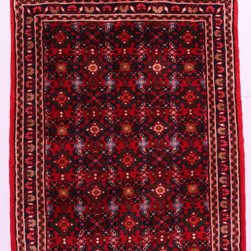 4M Hamedan Persian Runner (Hosseinabad)